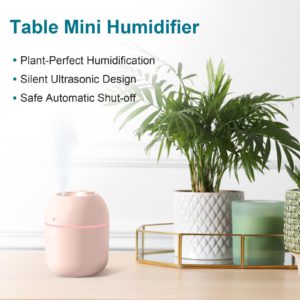 small cool mist humidifier